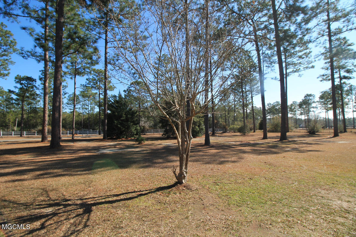 11309 Pinewood Hills Road Vancleave, MS 39565 - Photo 43 of 46 5 (8)