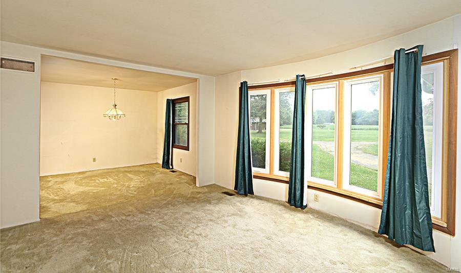 13924 Klaus Lake Road Highland, IL 62249 - Photo 11 of 55