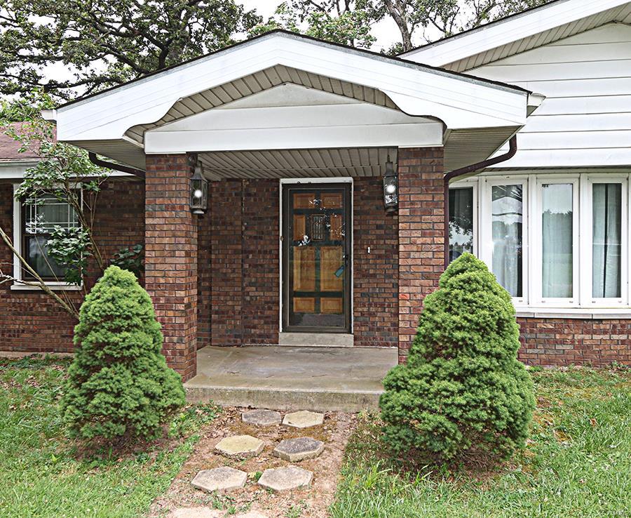 13924 Klaus Lake Road Highland, IL 62249 - Photo 8 of 55
