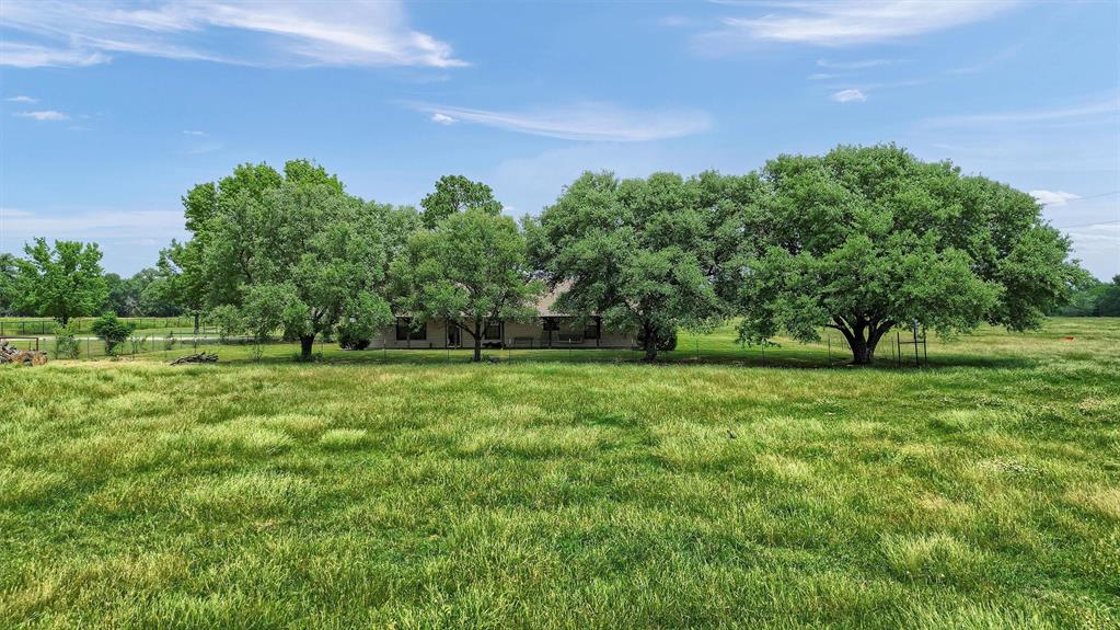 12153 Mustang Road Pilot Point, TX 76258 - Photo 13 of 23 a view of a park with large trees