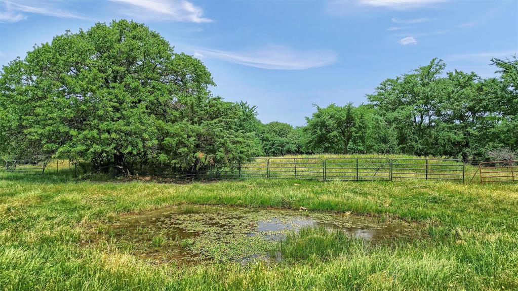 12153 Mustang Road Pilot Point, TX 76258 - Photo 16 of 23 a view of a field