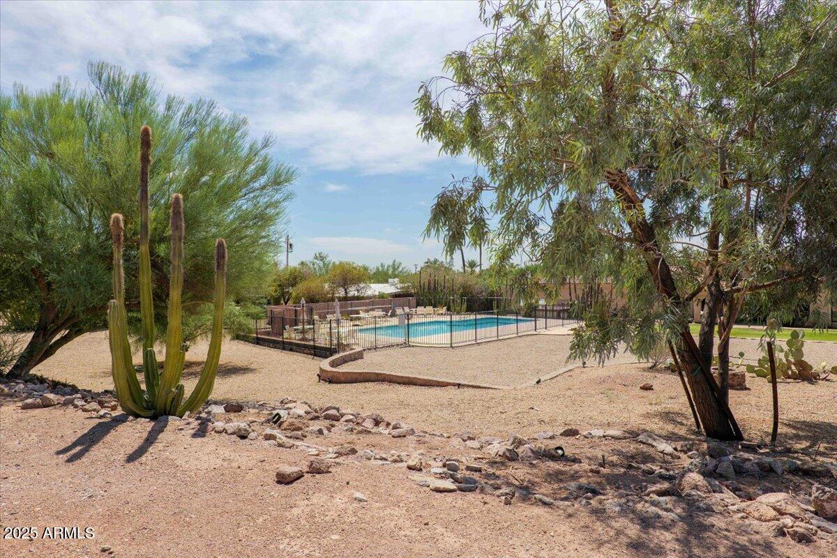5702 East Camelback Road, Unit MEXICAN Phoenix, AZ 85251 - Photo 28 of 45 a view of a yard with wooden fence