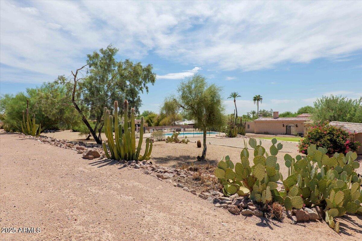 5702 East Camelback Road, Unit MEXICAN Phoenix, AZ 85251 - Photo 29 of 45 a view of a yard with plants and trees