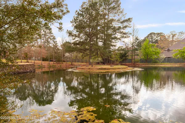 $2,300,000 | 4028 Old Canton Road, Jackson, MS 39216