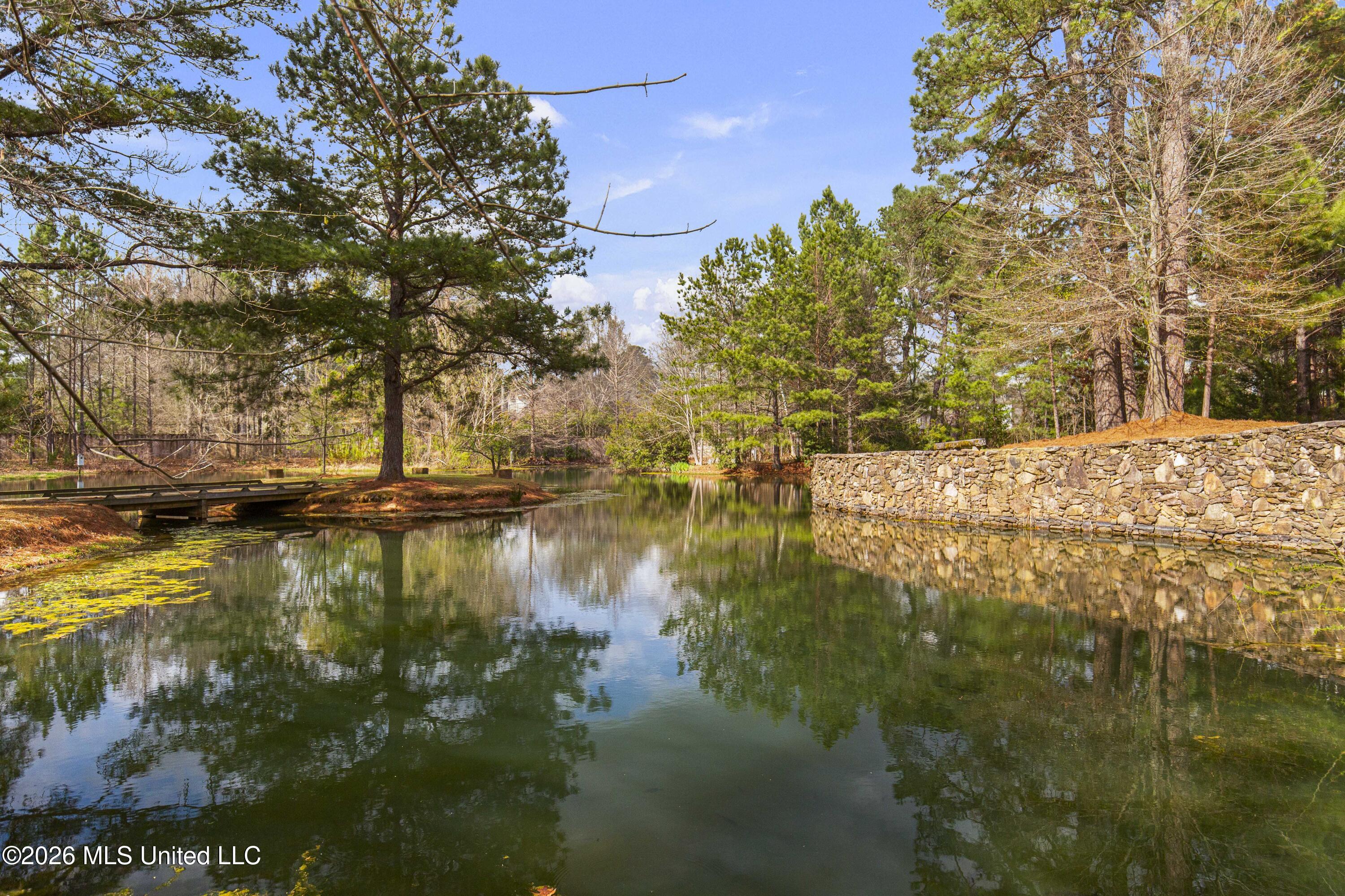 4028 Old Canton Road Jackson, MS 39216 - Photo 6 of 66 4028 Old Canton-17
