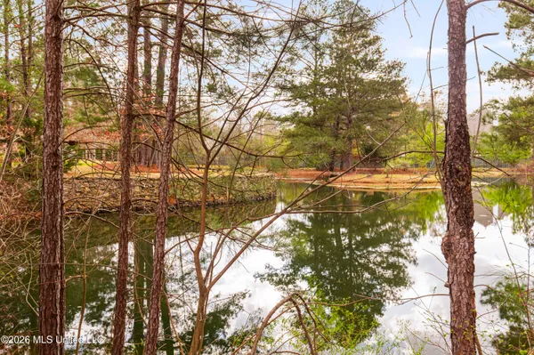 $2,300,000 | 4028 Old Canton Road, Jackson, MS 39216