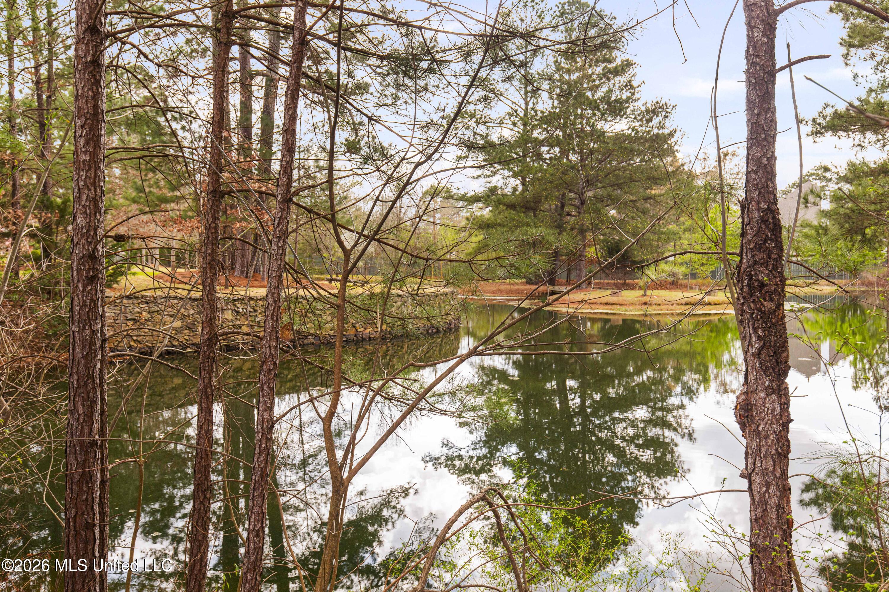 4028 Old Canton Road Jackson, MS 39216 - Photo 63 of 66 4028 Old Canton-6