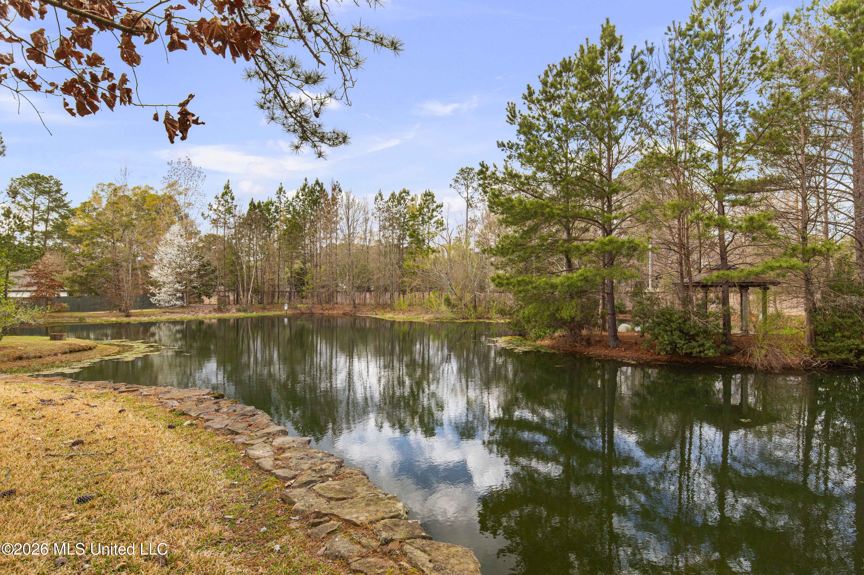 4028 Old Canton Road Jackson, MS 39216 - Photo 64 of 66 4028 Old Canton-7