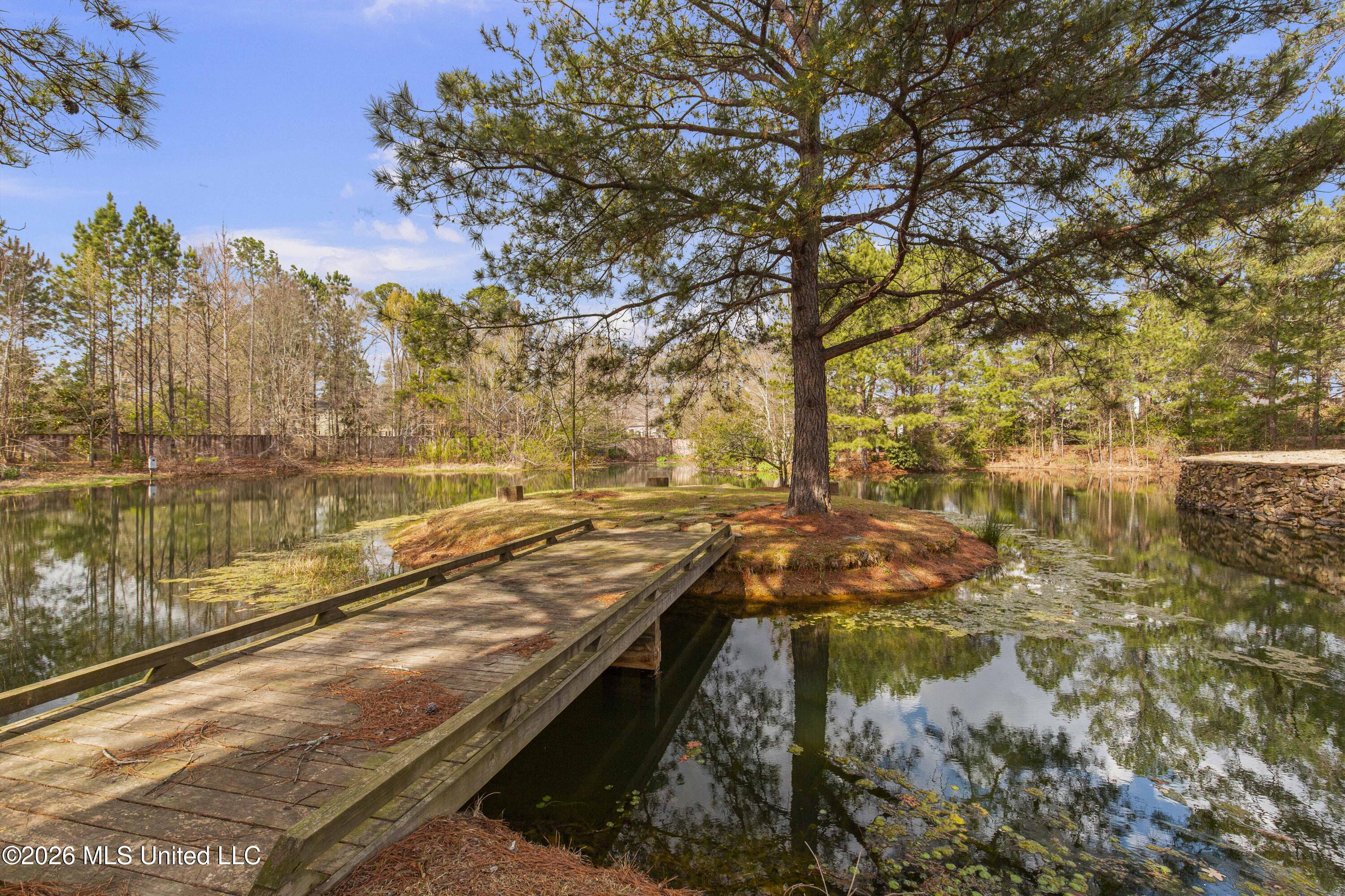 4028 Old Canton Road Jackson, MS 39216 - Photo 8 of 66 4028 Old Canton-20