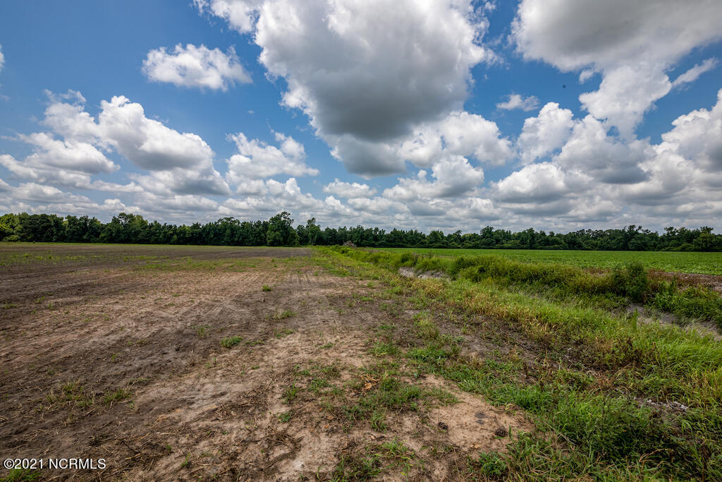 0 Tedder Road Fairmont, NC 28340 - Photo 15 of 37 15
