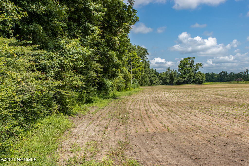 0 Tedder Road Fairmont, NC 28340 - Photo 4 of 37 4