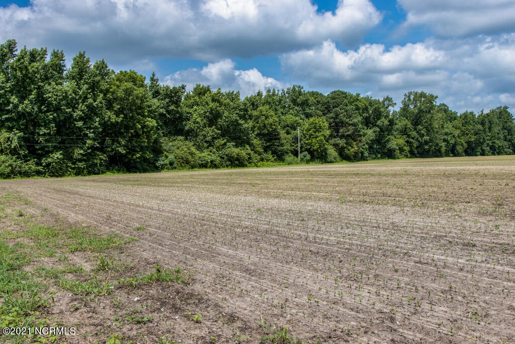 0 Tedder Road Fairmont, NC 28340 - Photo 6 of 37 6
