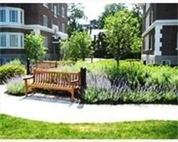 a view of a bench in a garden