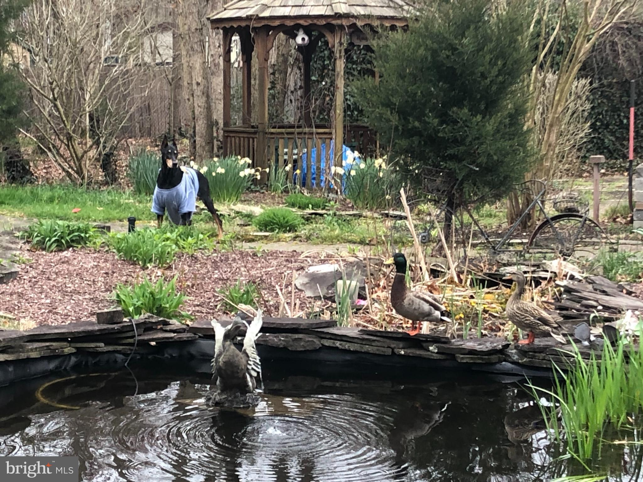 7106 Ridge Avenue Egg Harbor Township, NJ 08234 - Photo 73 of 77