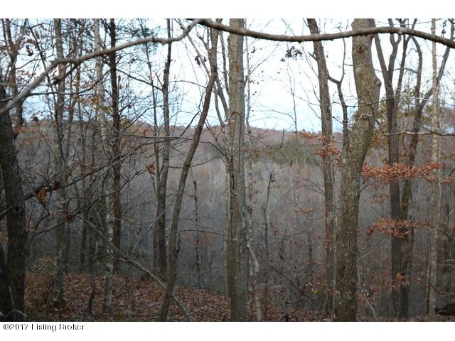 3 Sal Ashley Road Bee Spring, KY 42207 - Photo 15 of 21 Tract 3 Carl Jr Rd19