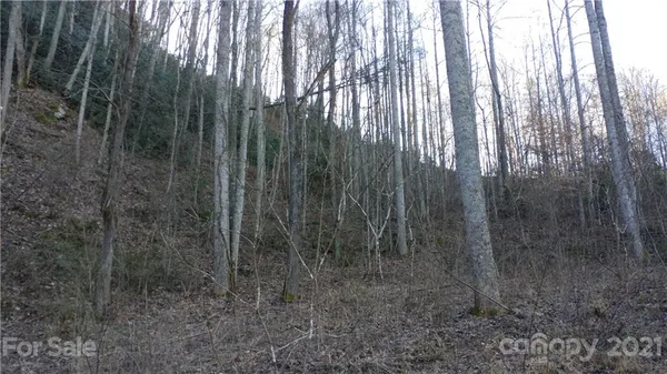 $14,500 | Lot 16 Red Hawk Bluff, Unit 16, Sylva, NC 28779