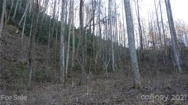 $14,500 | Lot 16 Red Hawk Bluff, Unit 16, Sylva, NC 28779