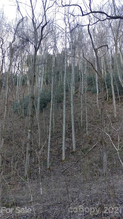 Lot 16 Red Hawk Bluff, Unit 16 Sylva, NC 28779 - Photo 2 of 6