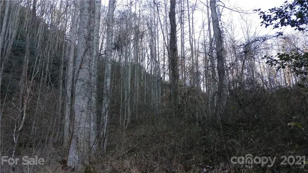 $14,500 | Lot 16 Red Hawk Bluff, Unit 16, Sylva, NC 28779