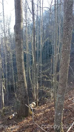 $14,500 | Lot 16 Red Hawk Bluff, Unit 16, Sylva, NC 28779