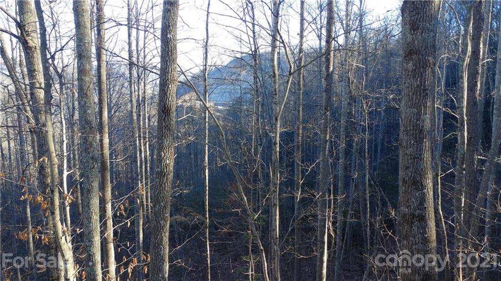 Lot 16 Red Hawk Bluff, Unit 16 Sylva, NC 28779 - Photo 5 of 6
