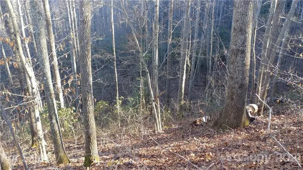 $14,500 | Lot 16 Red Hawk Bluff, Unit 16, Sylva, NC 28779