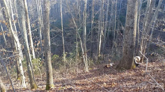 $14,500 | Lot 16 Red Hawk Bluff, Unit 16, Sylva, NC 28779