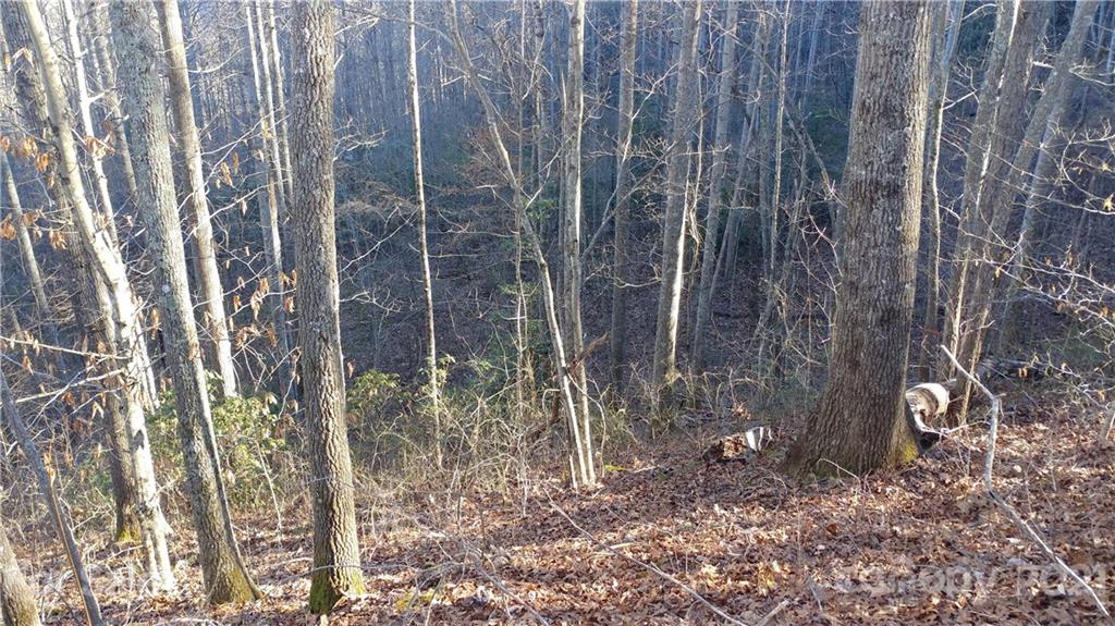 Lot 16 Red Hawk Bluff, Unit 16 Sylva, NC 28779 - Photo 6 of 6