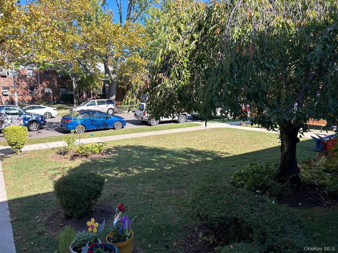199-08 21st Avenue, Unit 1327 Queens, NY 11357 - Photo 20 of 21 a view of swimming pool with lawn chairs and plants