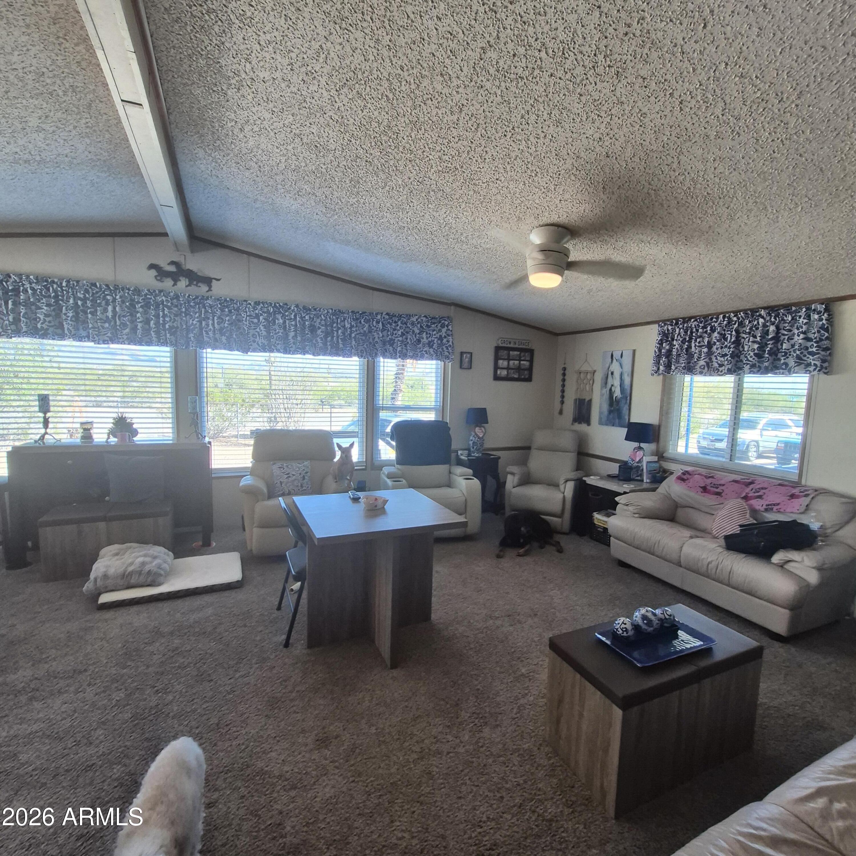 1980 South Hilton Road Apache Junction, AZ 85119 - Photo 12 of 42 a living room with furniture a rug potted plant and a large window