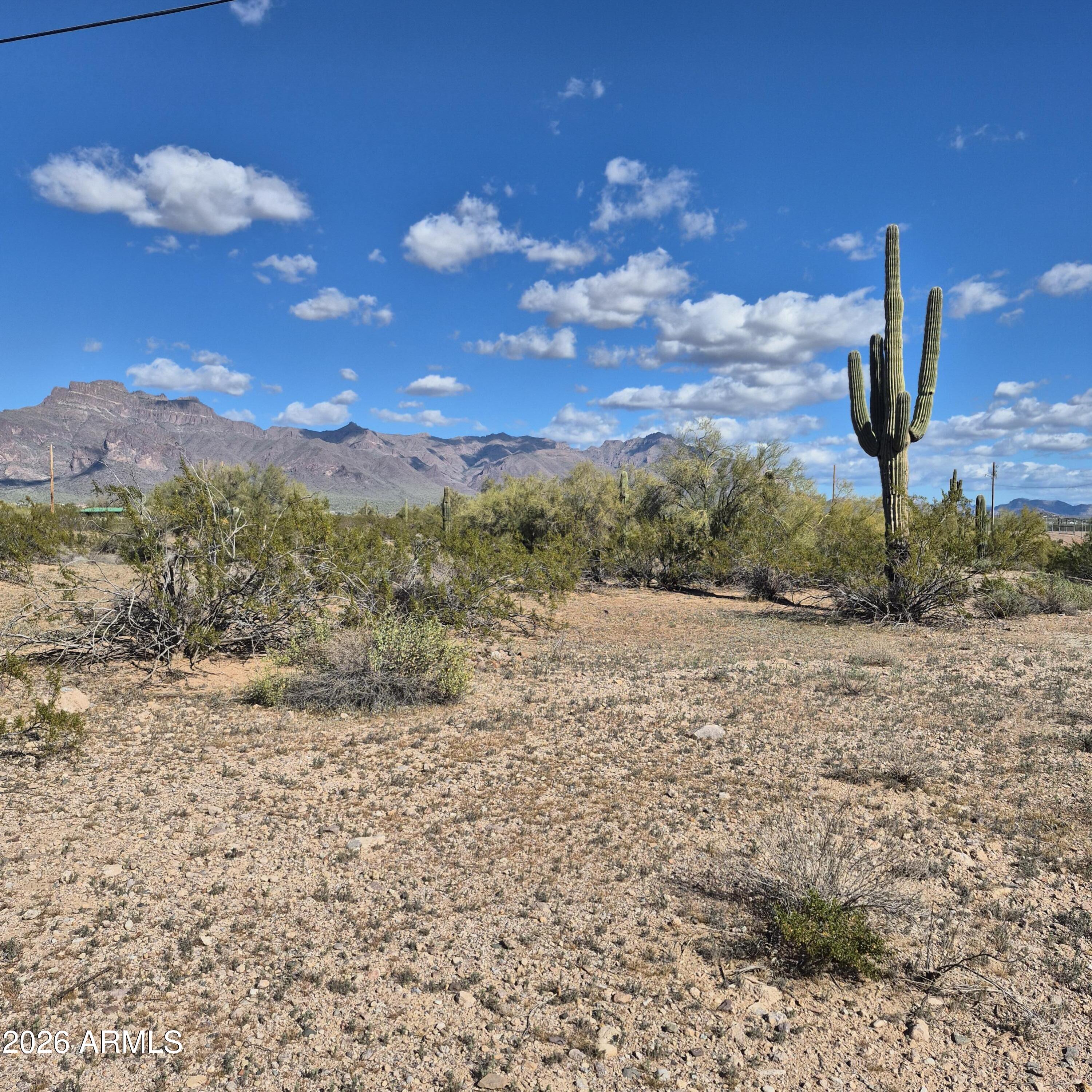 1980 South Hilton Road Apache Junction, AZ 85119 - Photo 40 of 42 a view of a yard with a tree