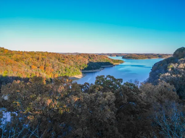 a view of outdoor space with trees