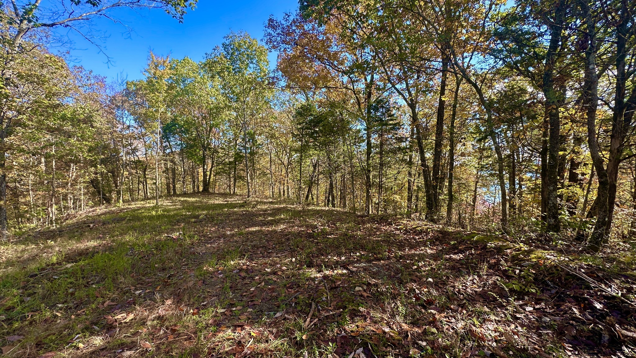 0 Rock Springs Road Celina, TN 38551 - Photo 6 of 8 a view of outdoor space with trees