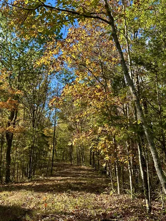 a view of outdoor space with city view