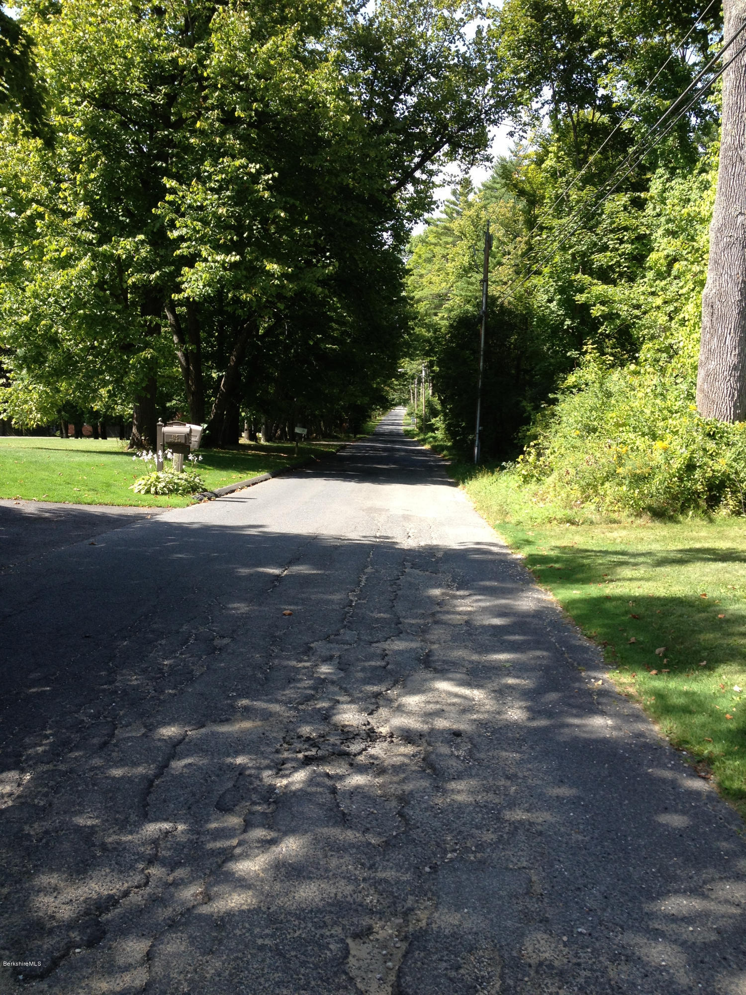 600 Devon Road Lee, MA 01238 - Photo 14 of 15 a view of a yard with large trees