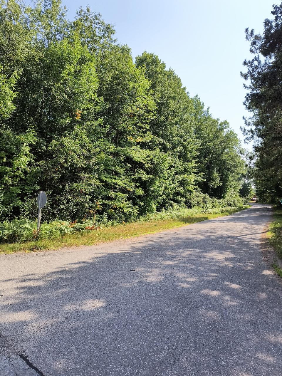 On Nose Lake Road Rhinelander, WI 54501 - Photo 4 of 11 Gallery Image 4