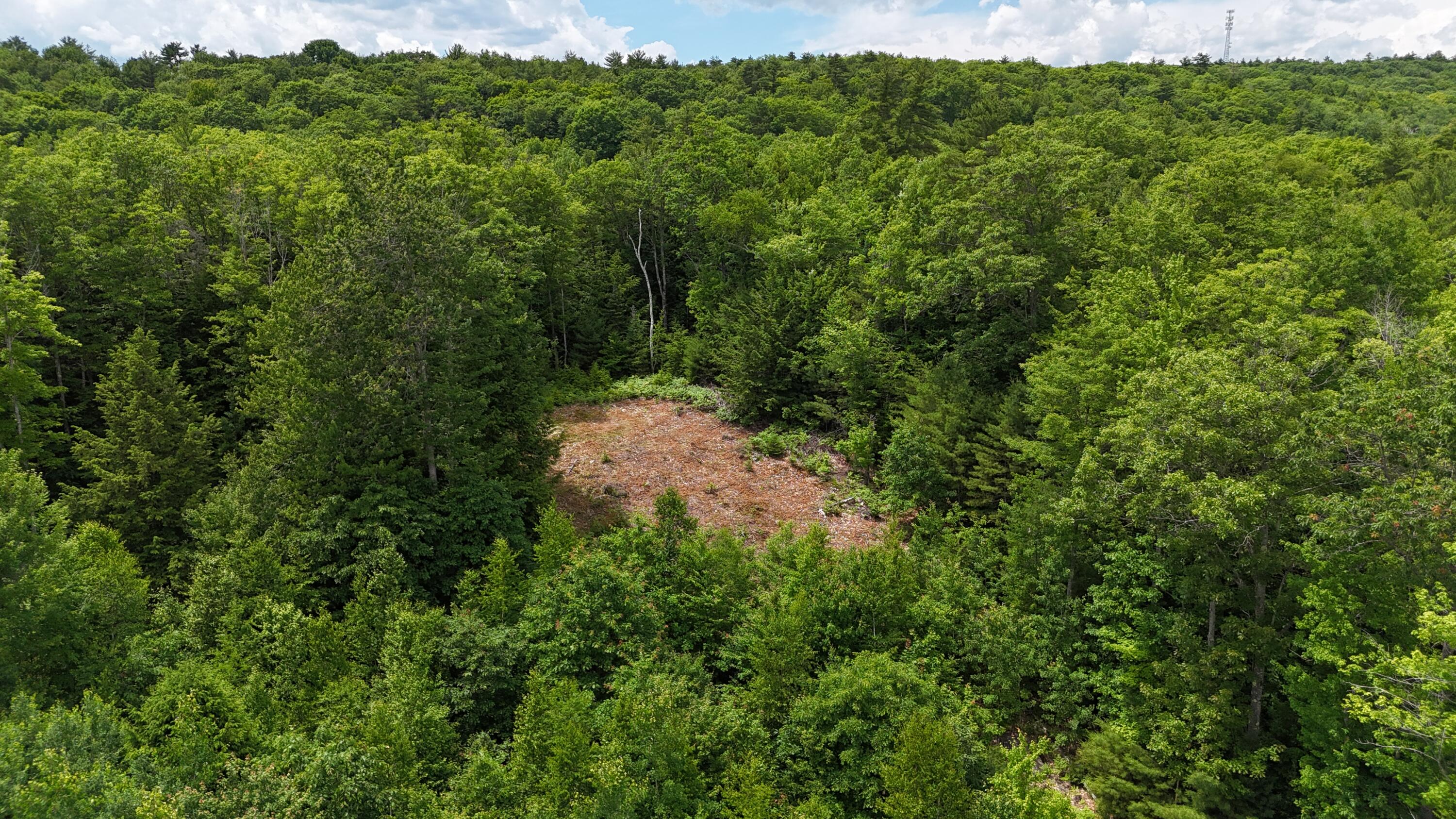 4 Youngs Road Canton, ME 04221 - Photo 2 of 4 DJI_20260625133529_0211_D