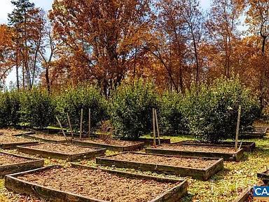 325 Old Roseland Road Roseland, VA 22967 - Photo 29 of 69 a view of a yard with trees