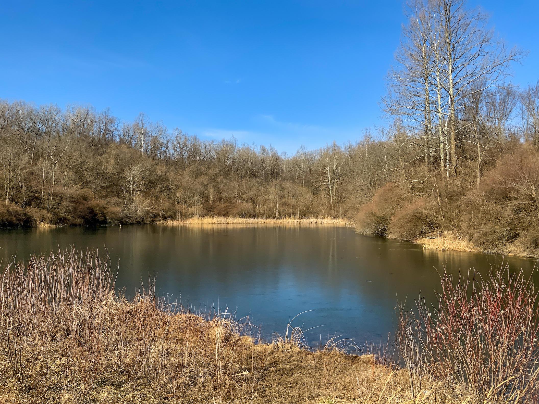 0 Jockey Hollow Road Flushing, OH 43977 - Photo 50 of 64