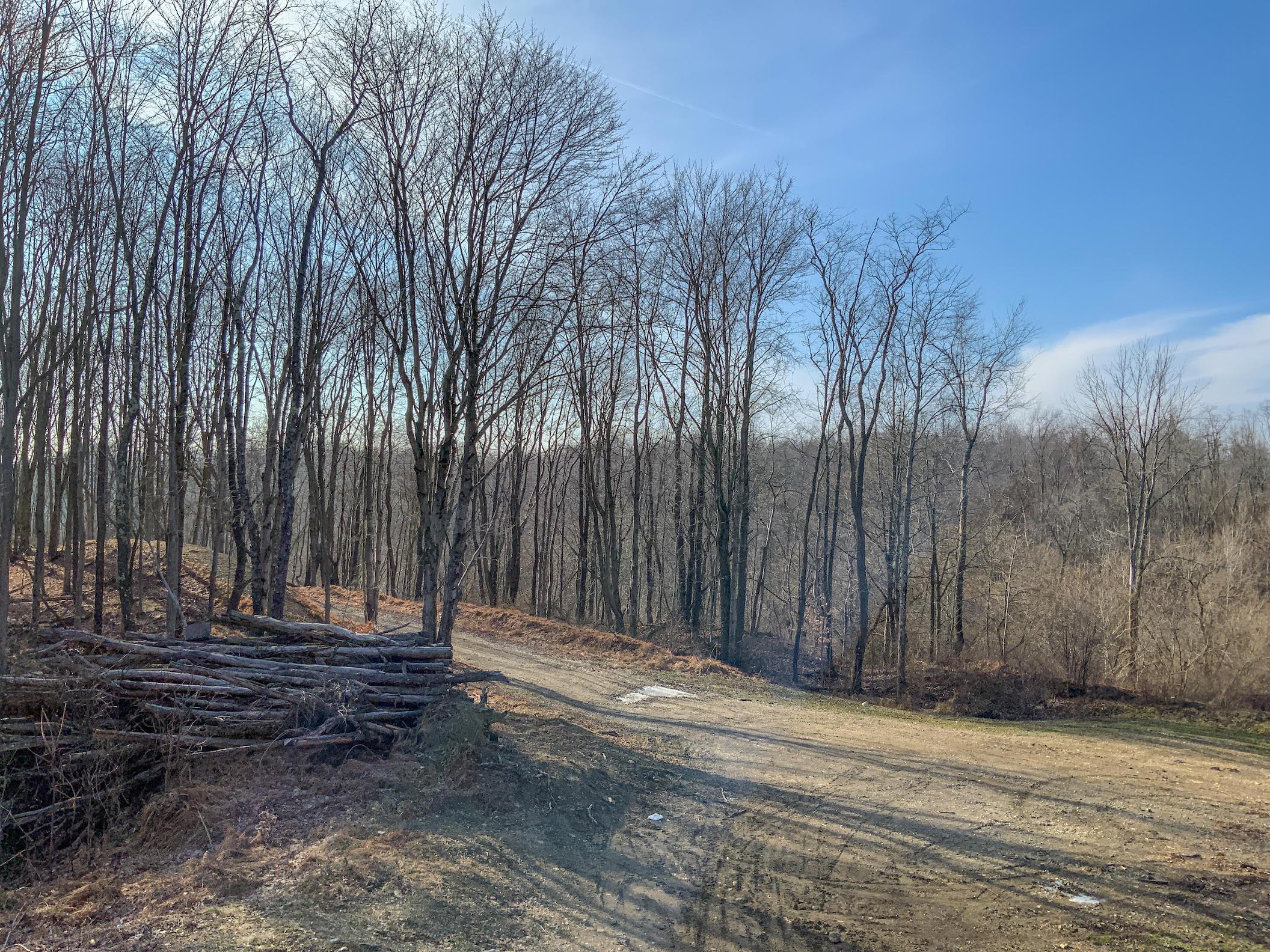0 Jockey Hollow Road Flushing, OH 43977 - Photo 54 of 64