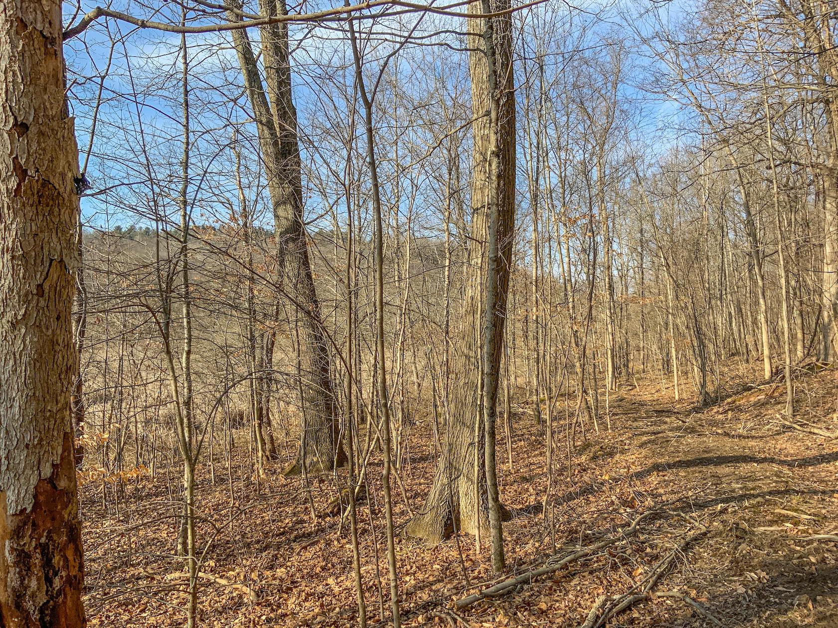 0 Jockey Hollow Road Flushing, OH 43977 - Photo 56 of 64