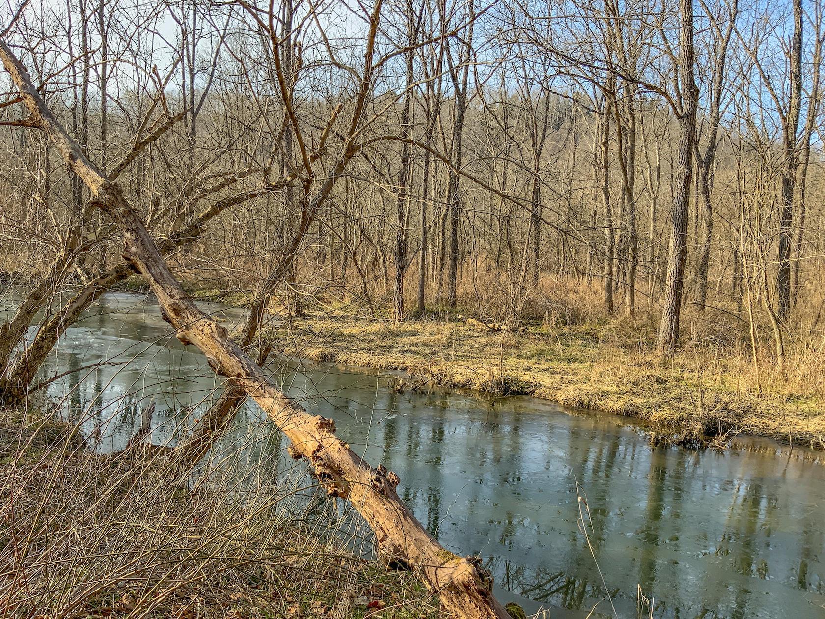 0 Jockey Hollow Road Flushing, OH 43977 - Photo 58 of 64