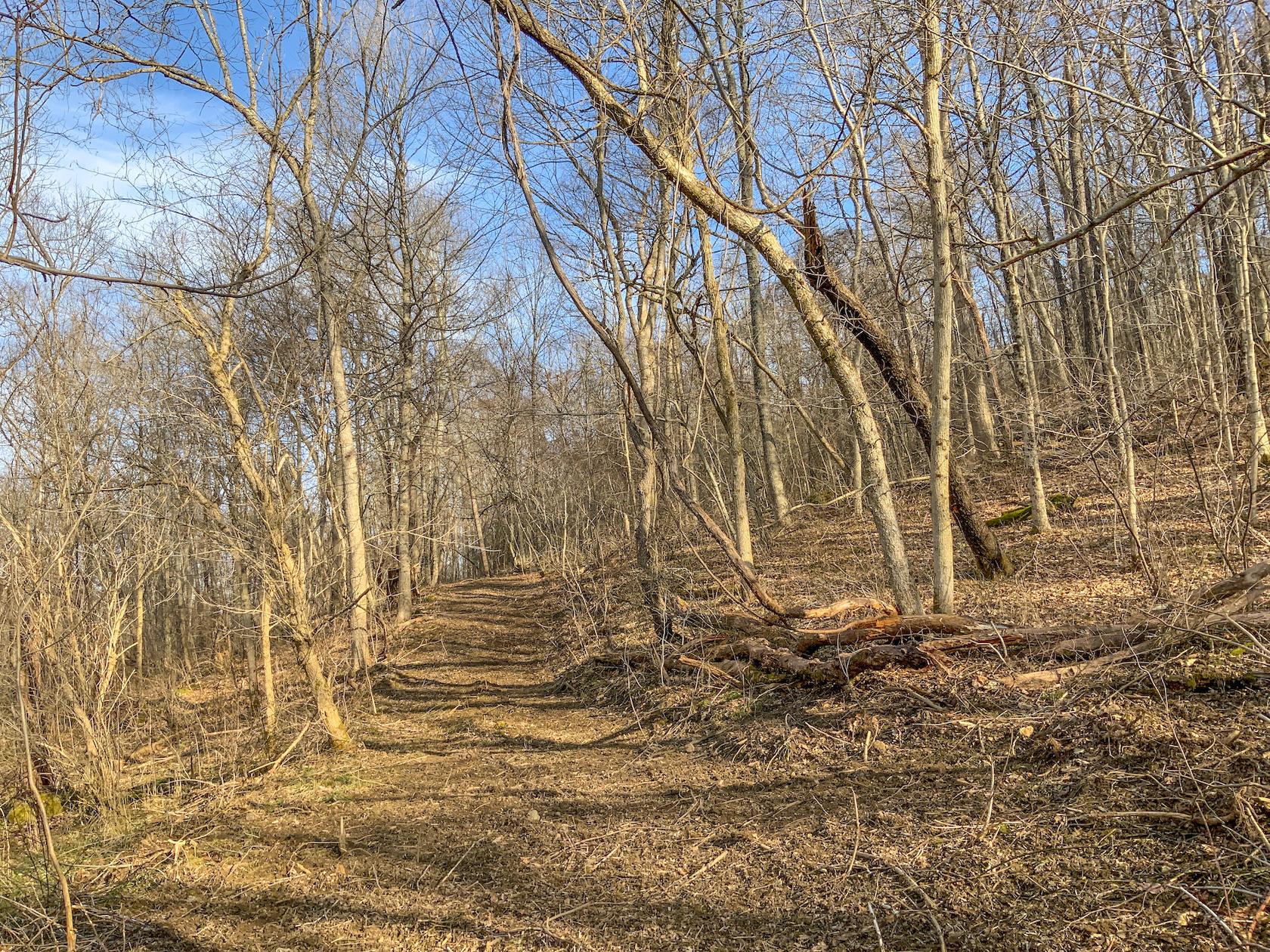 0 Jockey Hollow Road Flushing, OH 43977 - Photo 59 of 64