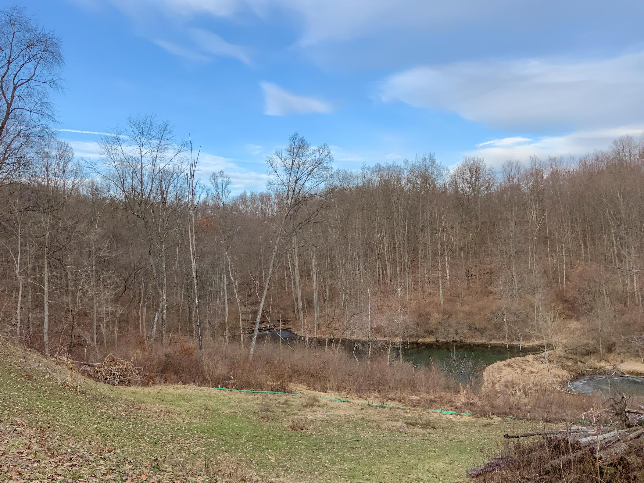0 Jockey Hollow Road Flushing, OH 43977 - Photo 62 of 64