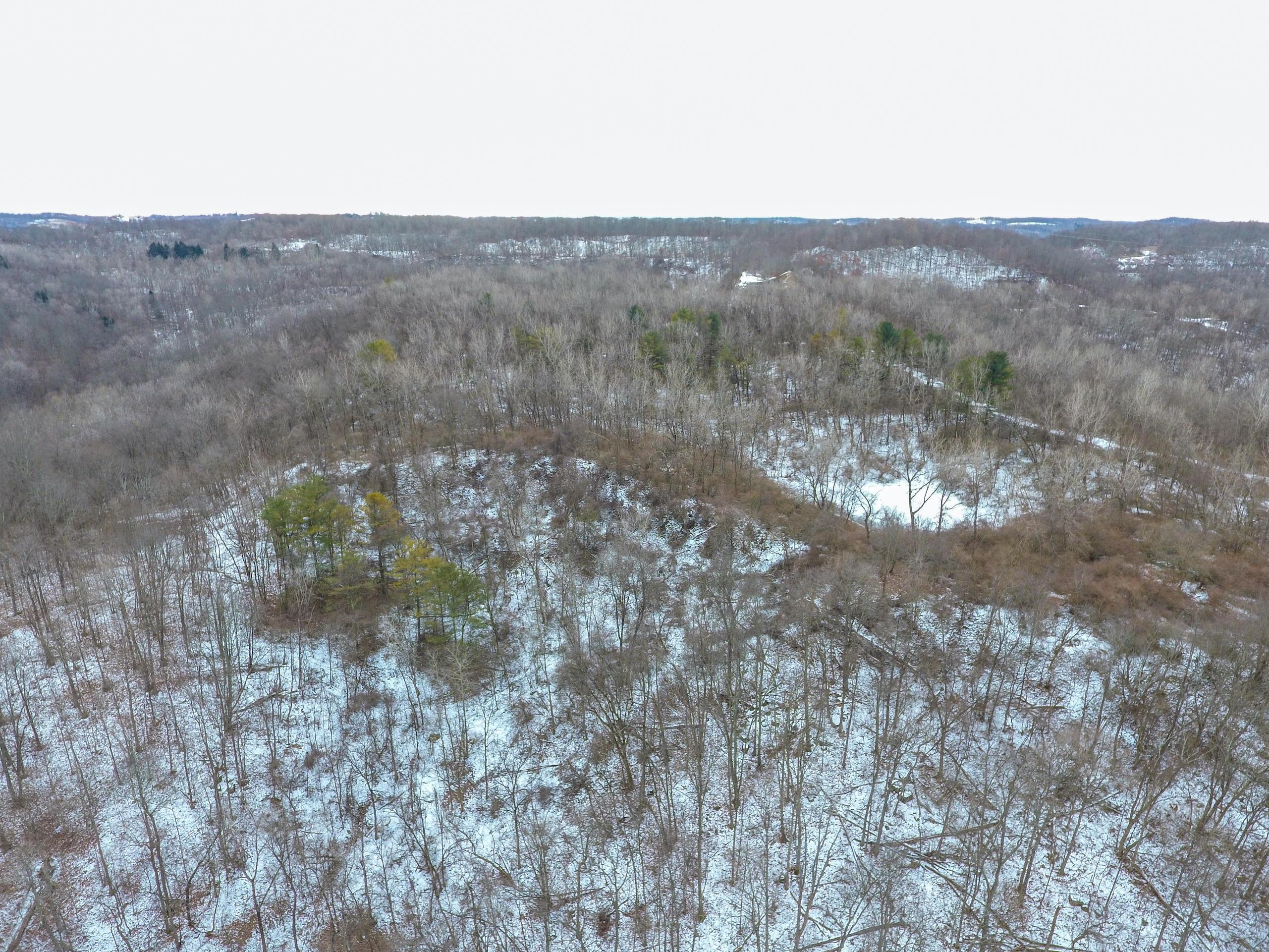 0 Jockey Hollow Road Flushing, OH 43977 - Photo 7 of 64