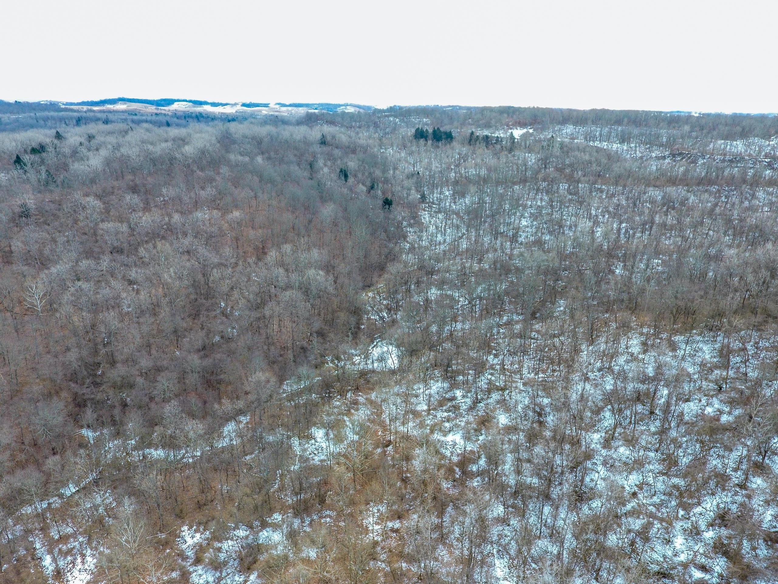 0 Jockey Hollow Road Flushing, OH 43977 - Photo 9 of 64