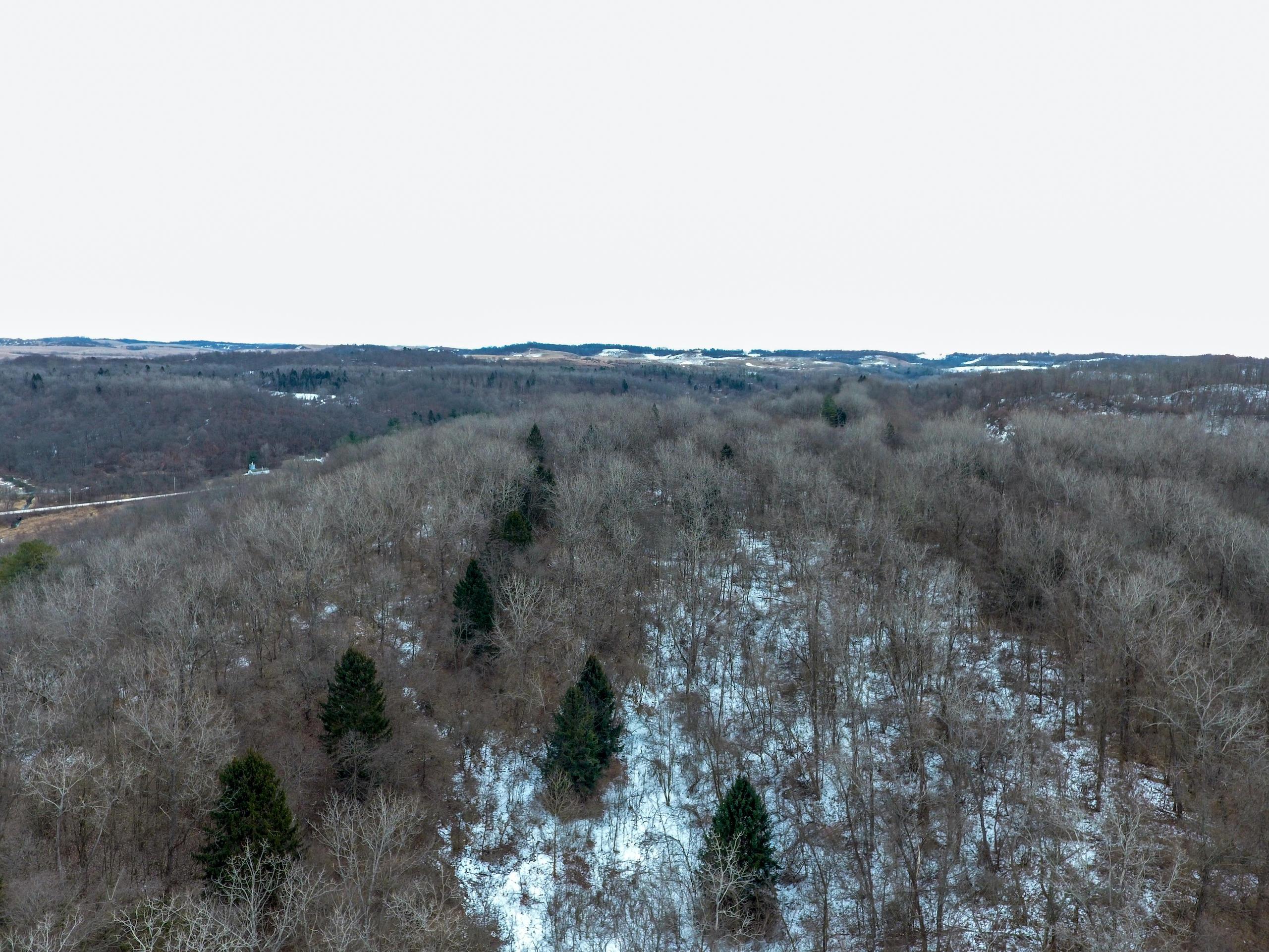 0 Jockey Hollow Road Flushing, OH 43977 - Photo 10 of 64