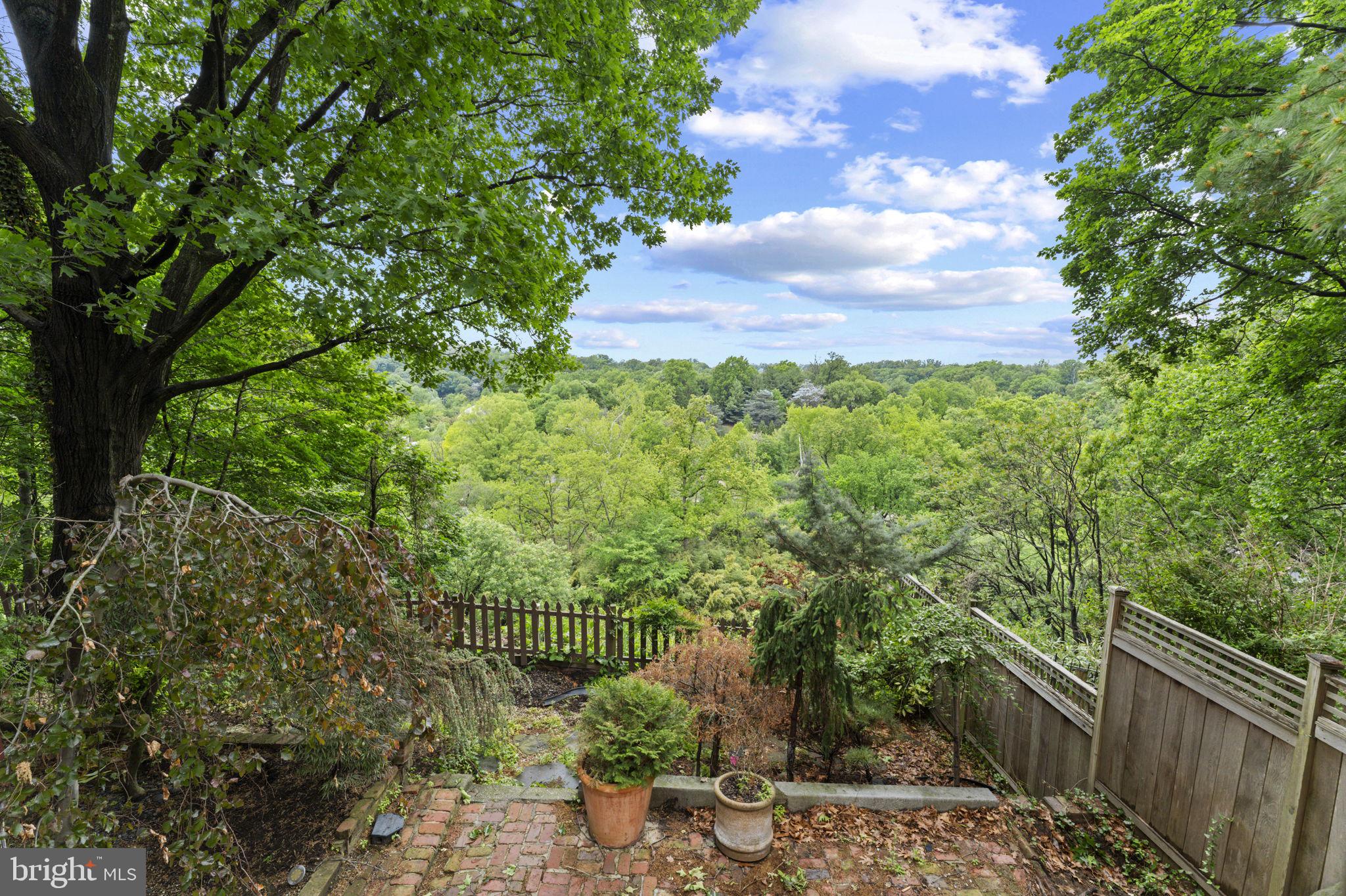 2812 Adams Mill Road Northwest Washington, DC 20009 - Photo 2 of 45 View of Rock Creek Park & Zoo