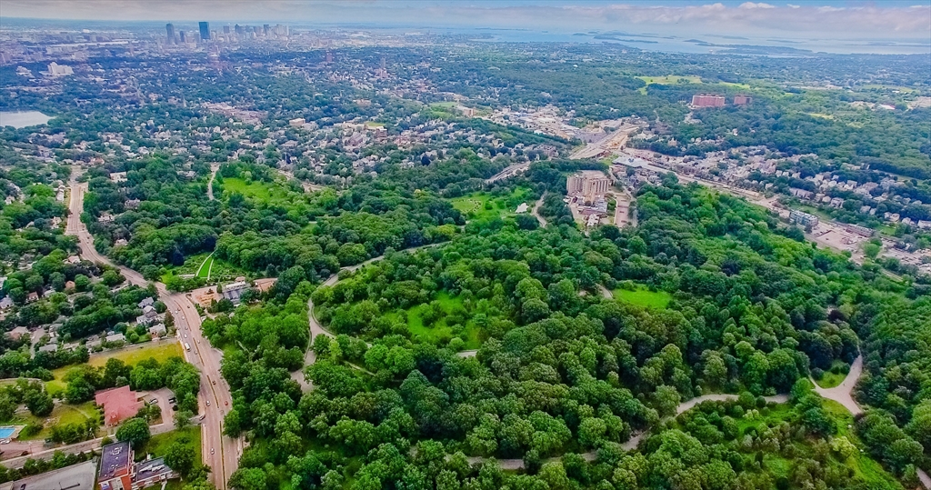 35 Eldridge Road, Unit 202 Boston, MA 02130 - Photo 26 of 31 an aerial view of a house with a yard and outdoor seating