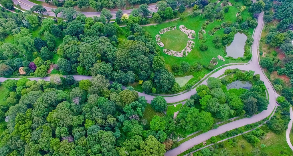 35 Eldridge Road, Unit 202 Boston, MA 02130 - Photo 27 of 31 an aerial view of residential house with outdoor space and trees all around